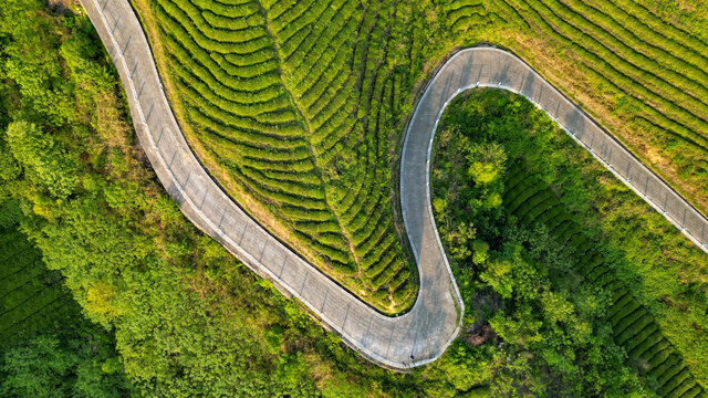 山间公路弯道