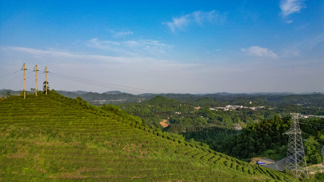 茶山梯田