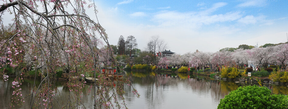 花草