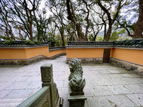 普陀山法雨寺