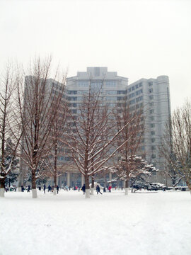 北京理工大学校园雪景