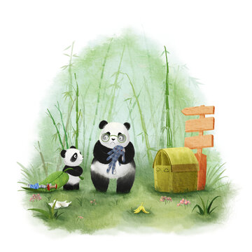 两只可爱的熊猫在清理竹林垃圾