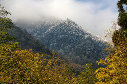 黄山风景