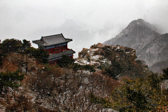 泰山远眺