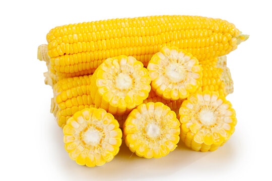 黄玉米白底图