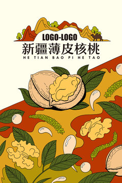 新疆核桃插畫