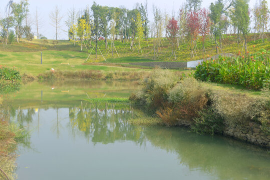 成都东安湖公园西江河河流