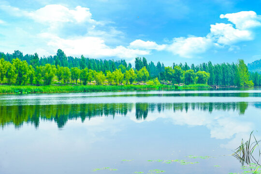 河岸风景