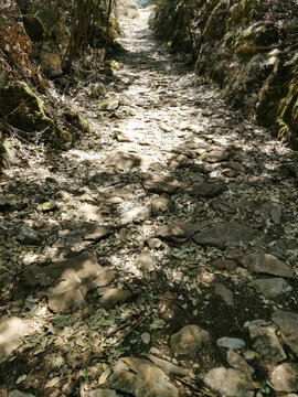 茶马古道石板路