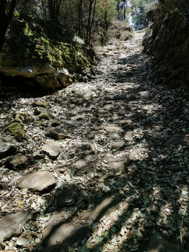 茶马古道石板路