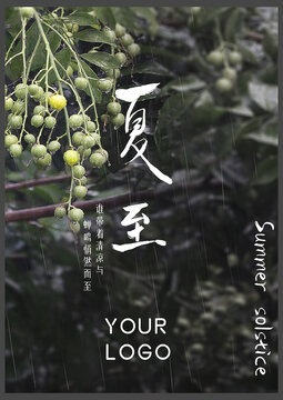 中式绿色清新雨丝夏至海报