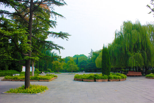 洛阳白马寺