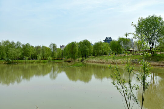 兰州湿地公园风光