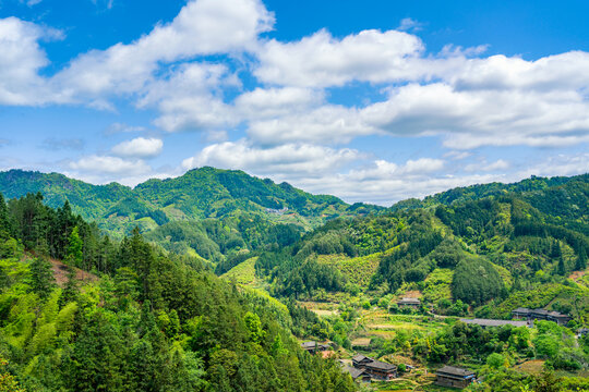 南方夏天美丽山村农村乡村