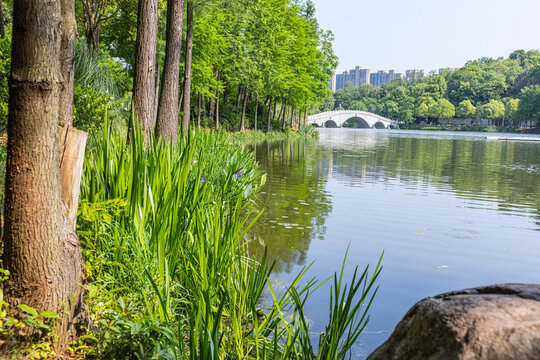 水景园林