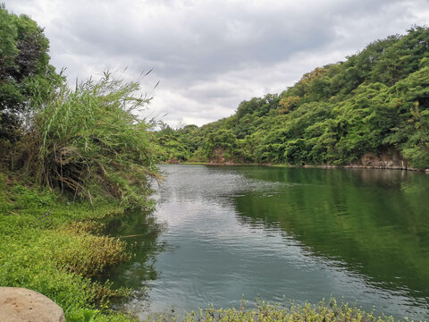 湖与树