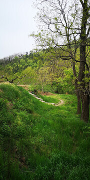 山区小路