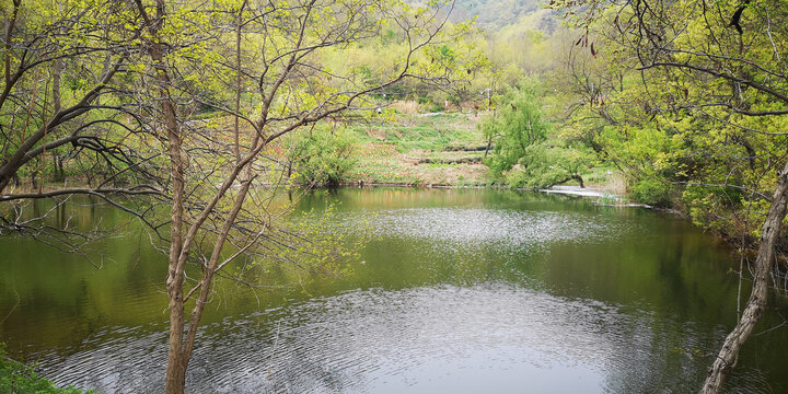 水库