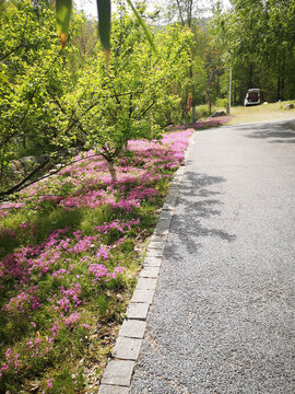 环山公路