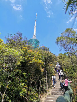 深圳电视塔