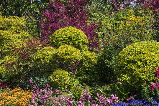 花圃花卉