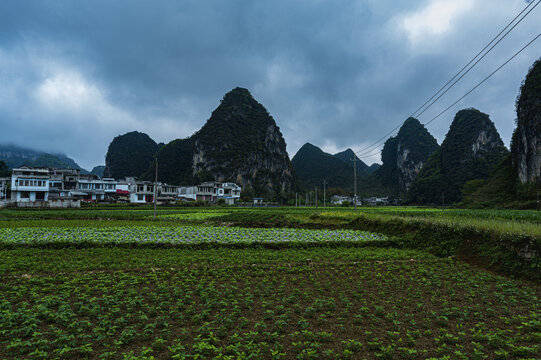 广西旧州风景