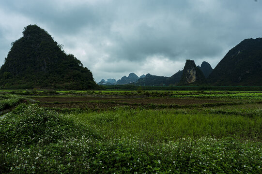 广西旧州风景