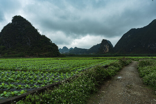 广西旧州风景