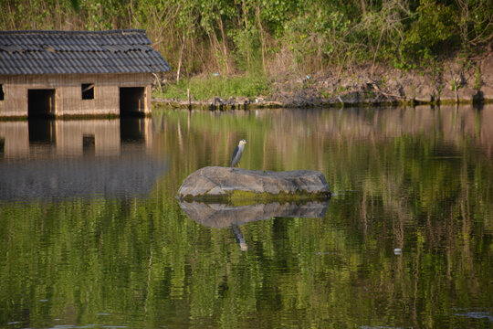 湖中小屋