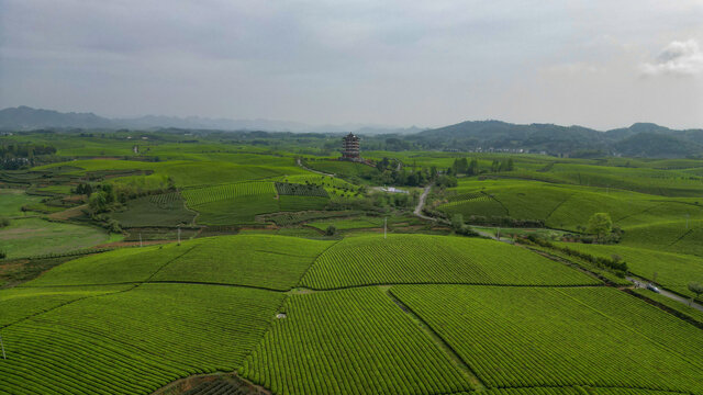 中国茶海景区