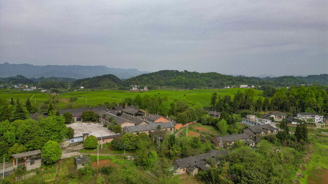 茶园乡村建筑