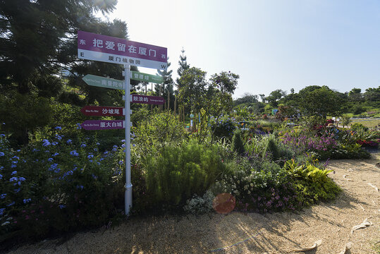 厦门植物园花展