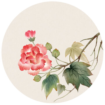 古風(fēng)芙蓉花