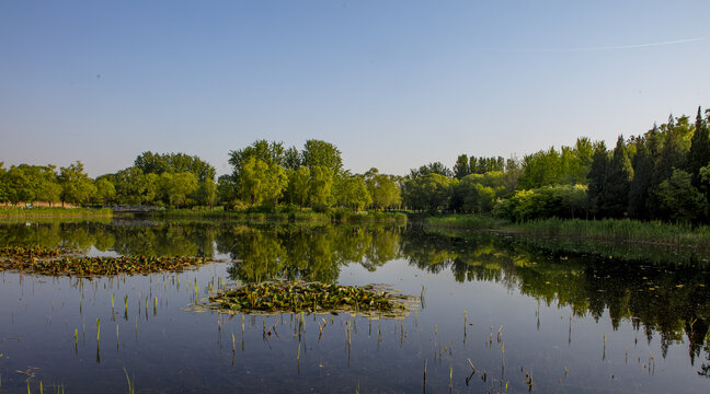 京奥林匹克塔公园湿地河岸