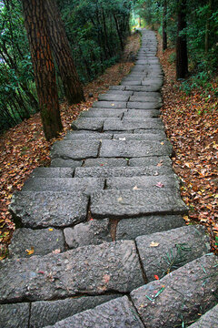 武夷山石板路