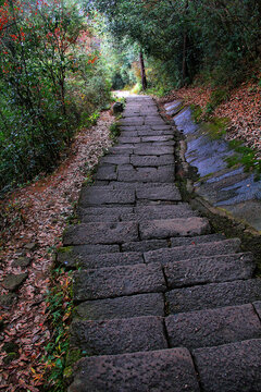 武夷山石板路