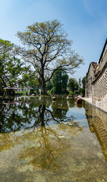 江门草坪里乡村旅游