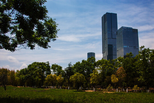 昆明市呈贡区建筑