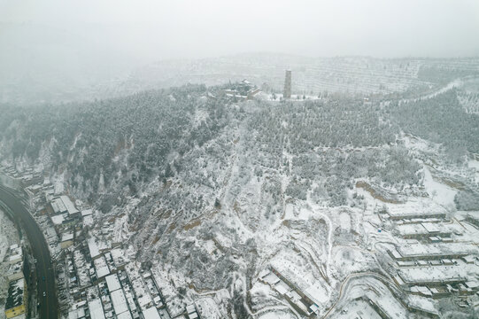 冬雪