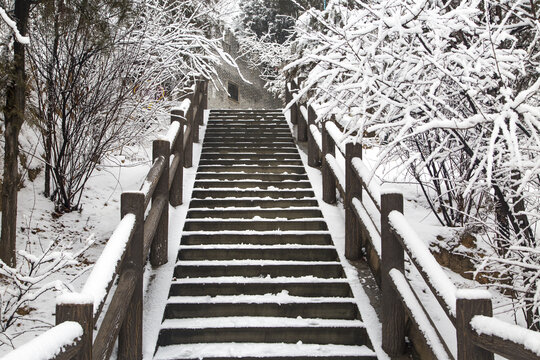 登山路雪景