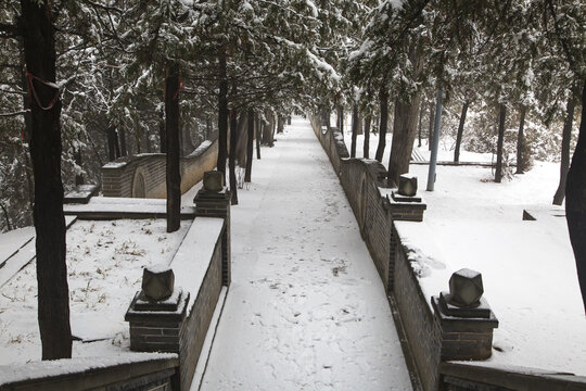 小路雪景