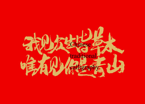 我見眾生皆草木唯有見你是青山