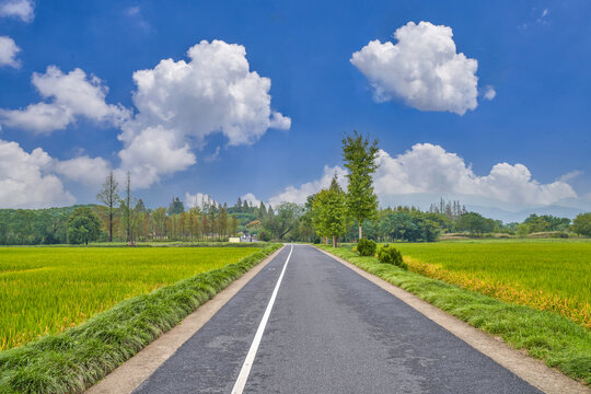 乡村柏油路