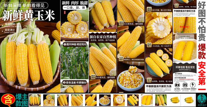黄玉米详情页主图