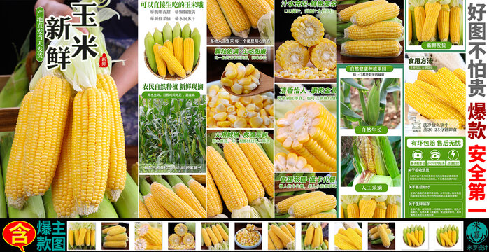 黄玉米详情页主图