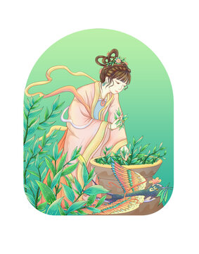 摘茶美女插画