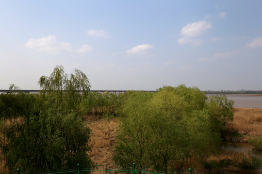 郑州黄河花园口段