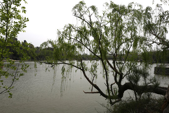 天波杨府