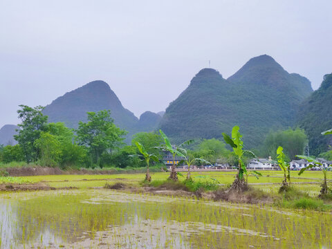 桂林山水