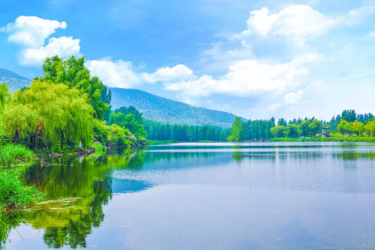 河岸风景